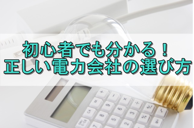 初心者でも分かる！正しい電力会社の選び方